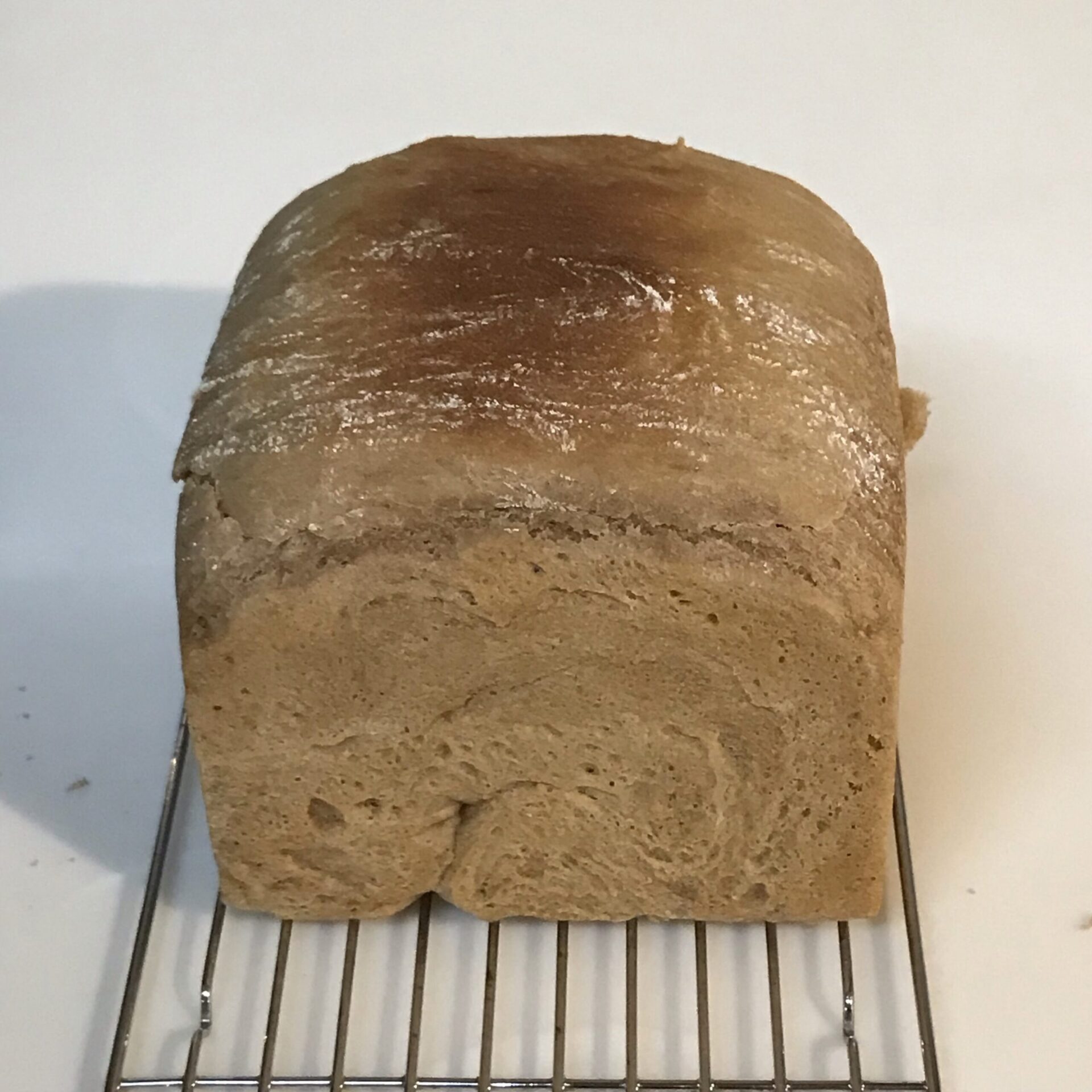 中種法でつくる全粒粉100%パンは意外と簡単 